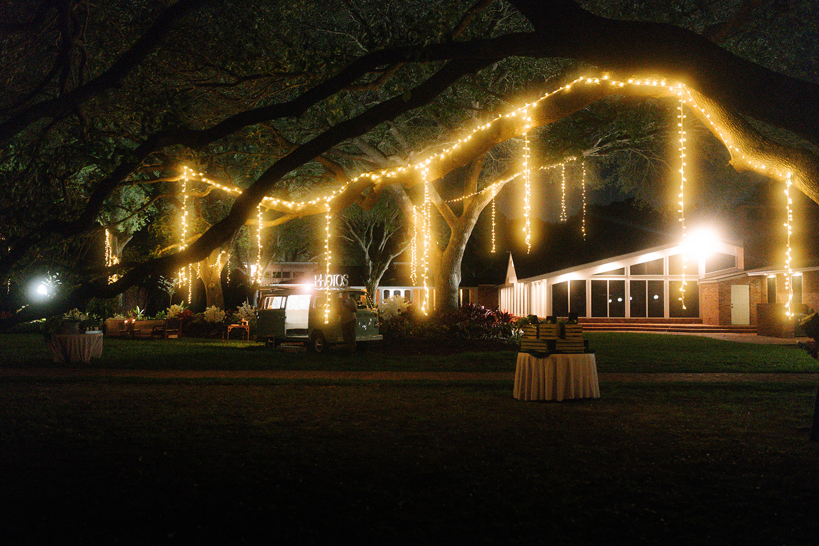 Elegant Hanging Lights on Trees on the Grounds
