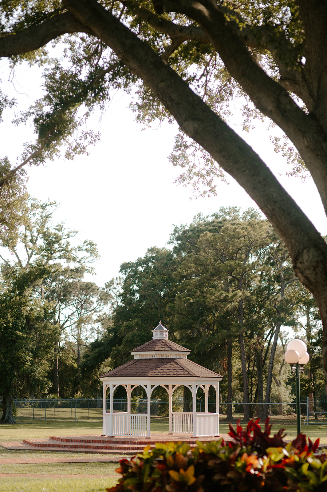 View of the gazebo in the distance from under the oak trees